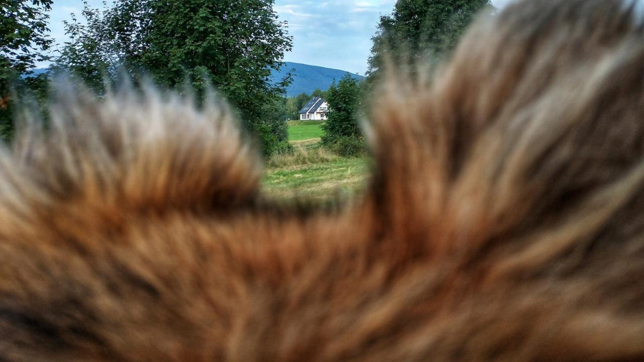 Rezydencja Ostoja Stronie Śląskie Eksteriør bilde