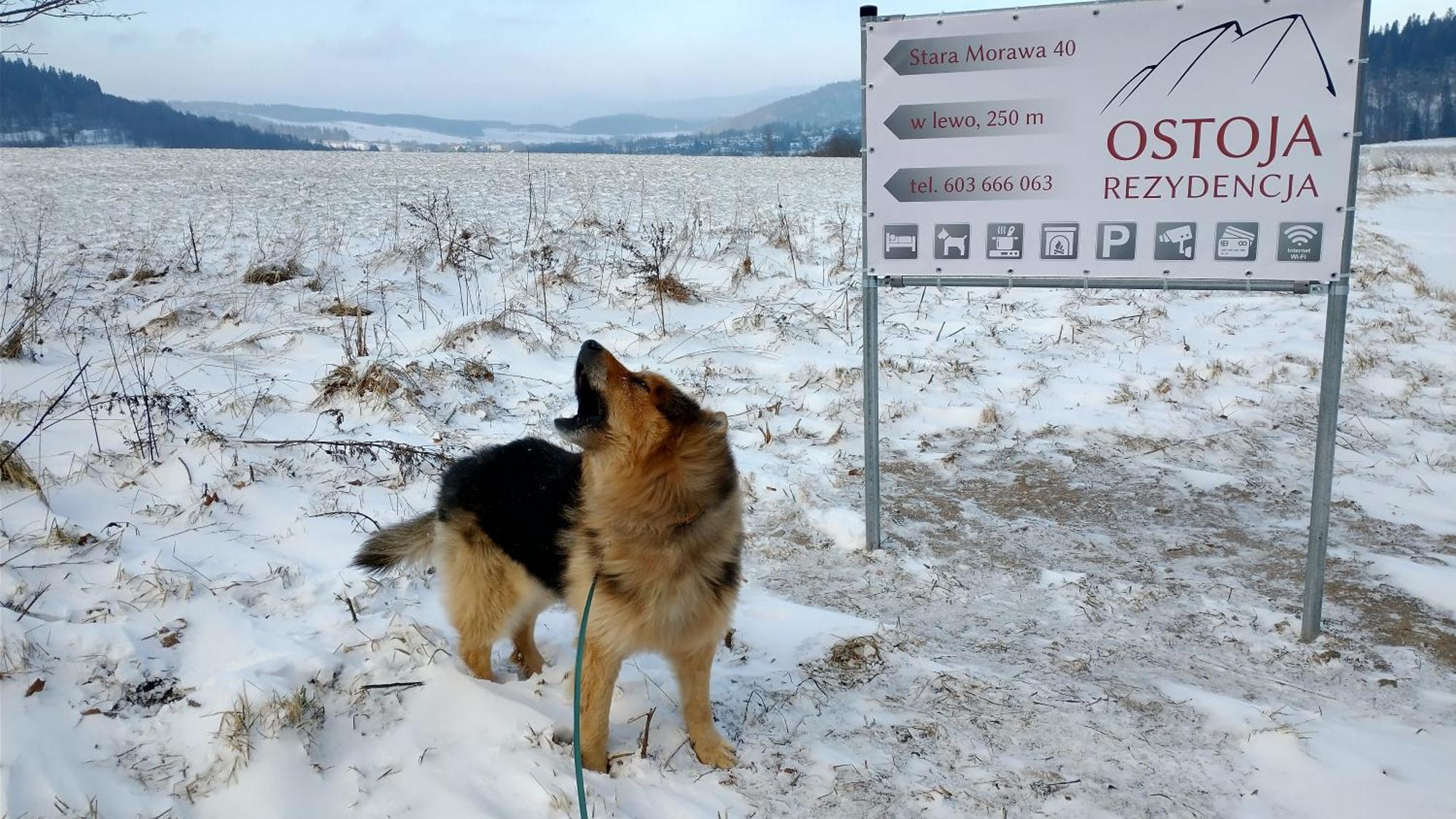 Rezydencja Ostoja Stronie Śląskie Eksteriør bilde